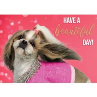 Plenty Gifts Kaart A5 Beautiful Day (h)