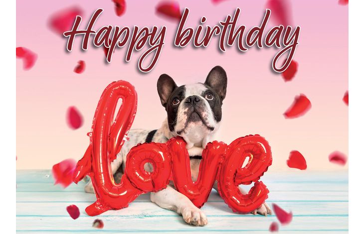 Plenty Gifts Kaart A5 Happy Birthday Love (h)