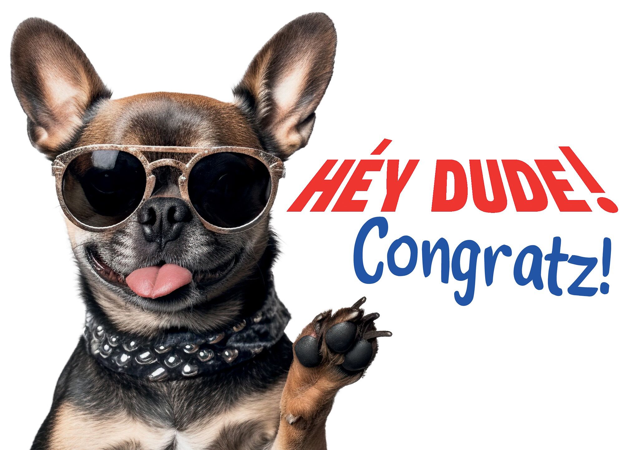 Plenty Gifts Kaart A5 Dude Congratz! (h)