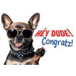 Kaart A5 Dude Congratz! (h)