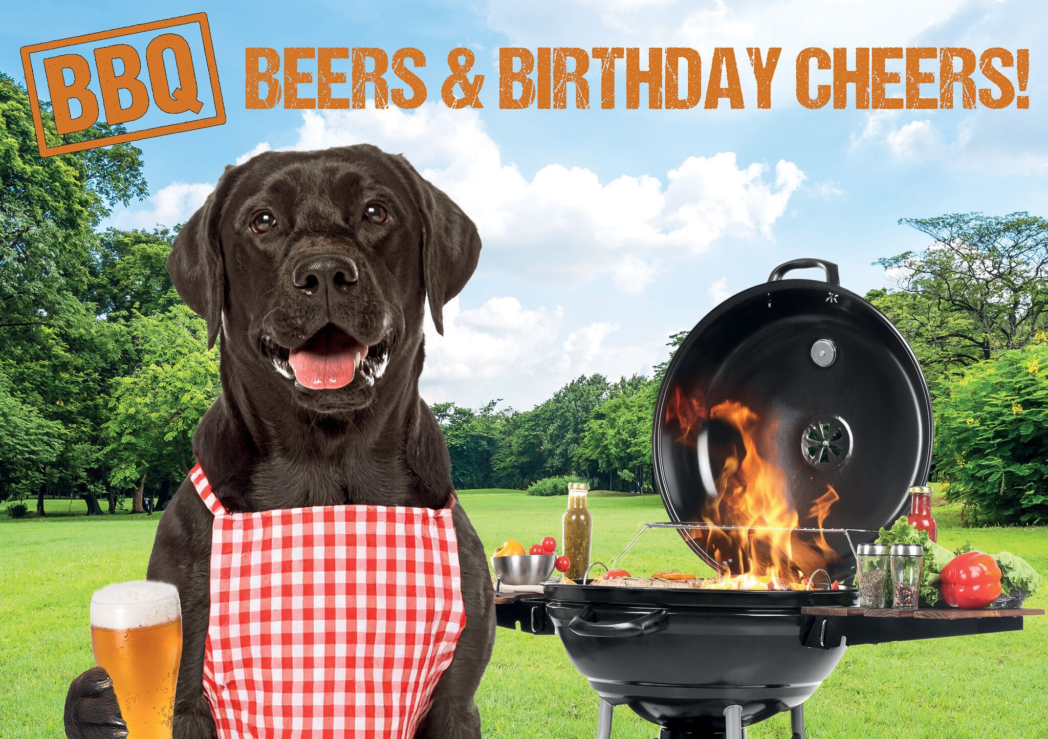 Plenty Gifts Kaart A5 BBQ Birthday Labrador (h)