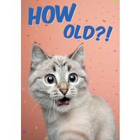 Plenty Gifts Kaart A5 How Old Cat (v)
