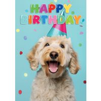 Plenty Gifts Kaart A5 Happy Birthday Confetti (v)