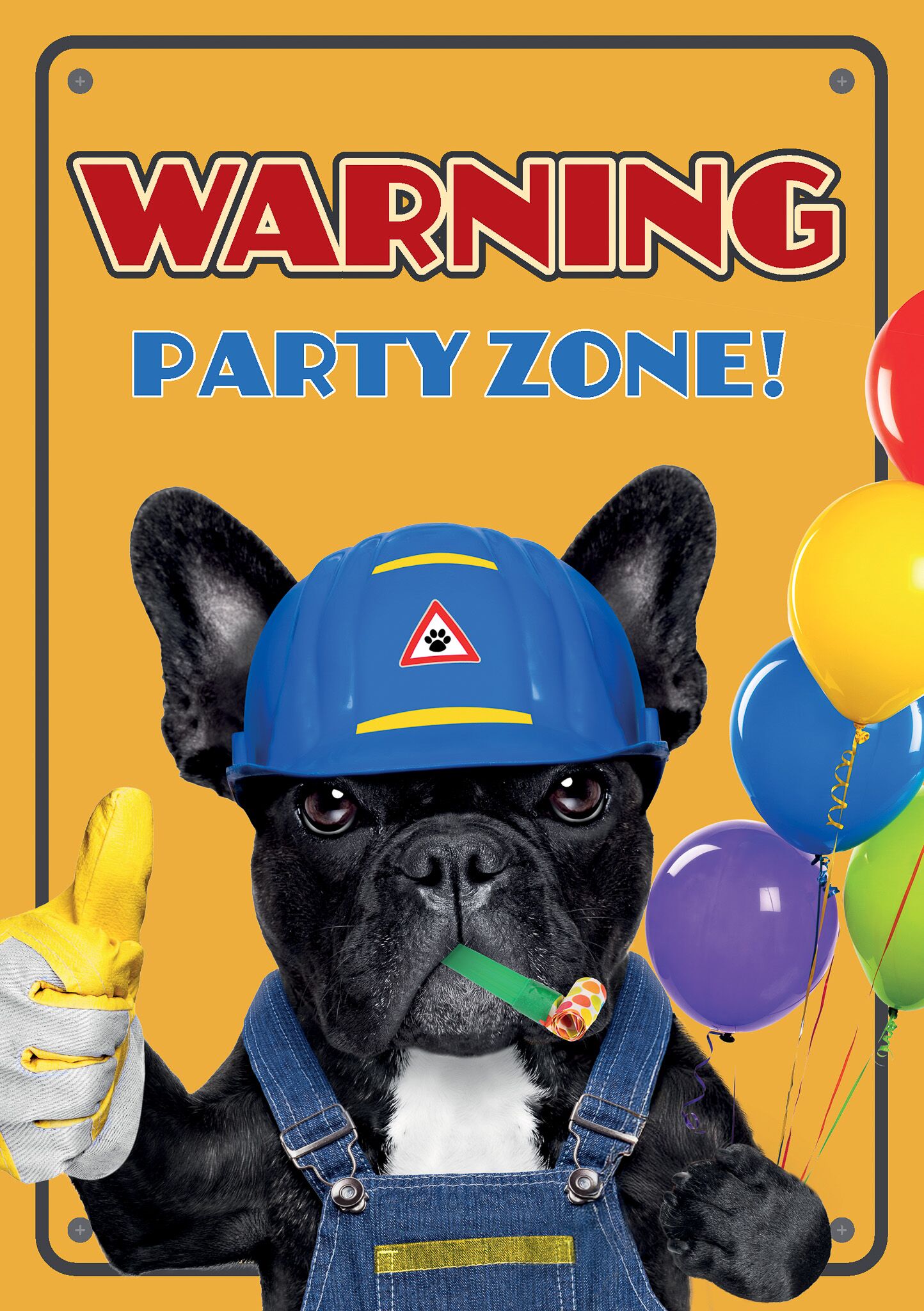 Plenty Gifts Kaart A5 Party Zone (v)