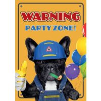 Plenty Gifts Kaart A5 Party Zone (v)