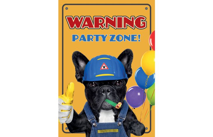 Plenty Gifts Kaart A5 Party Zone (v)