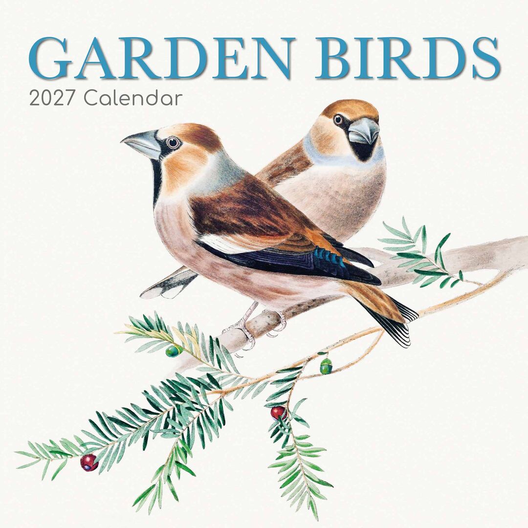 The Gifted Stationery Kalender 27 Garden Birds gtd