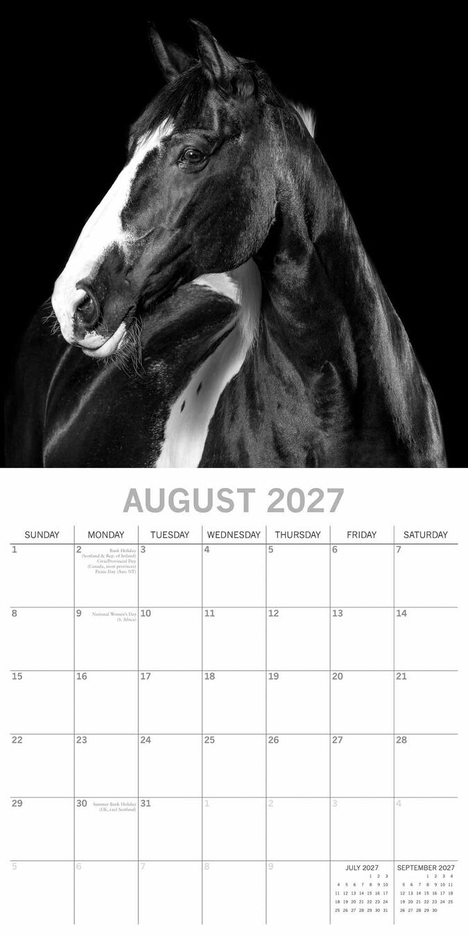 The Gifted Stationery Kalender 27 Horse Portraits gtd