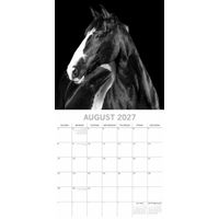 The Gifted Stationery Kalender 27 Horse Portraits gtd