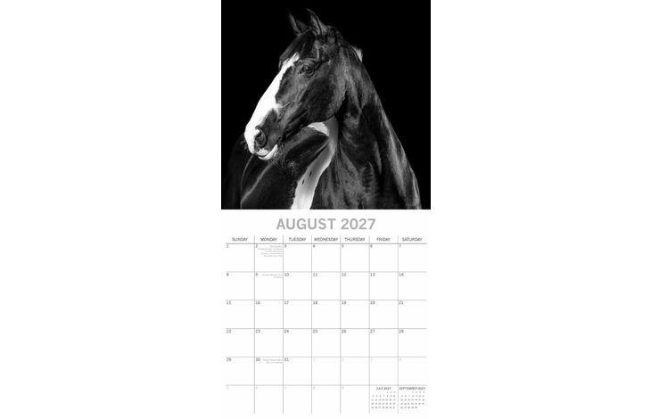 The Gifted Stationery Kalender 27 Horse Portraits gtd