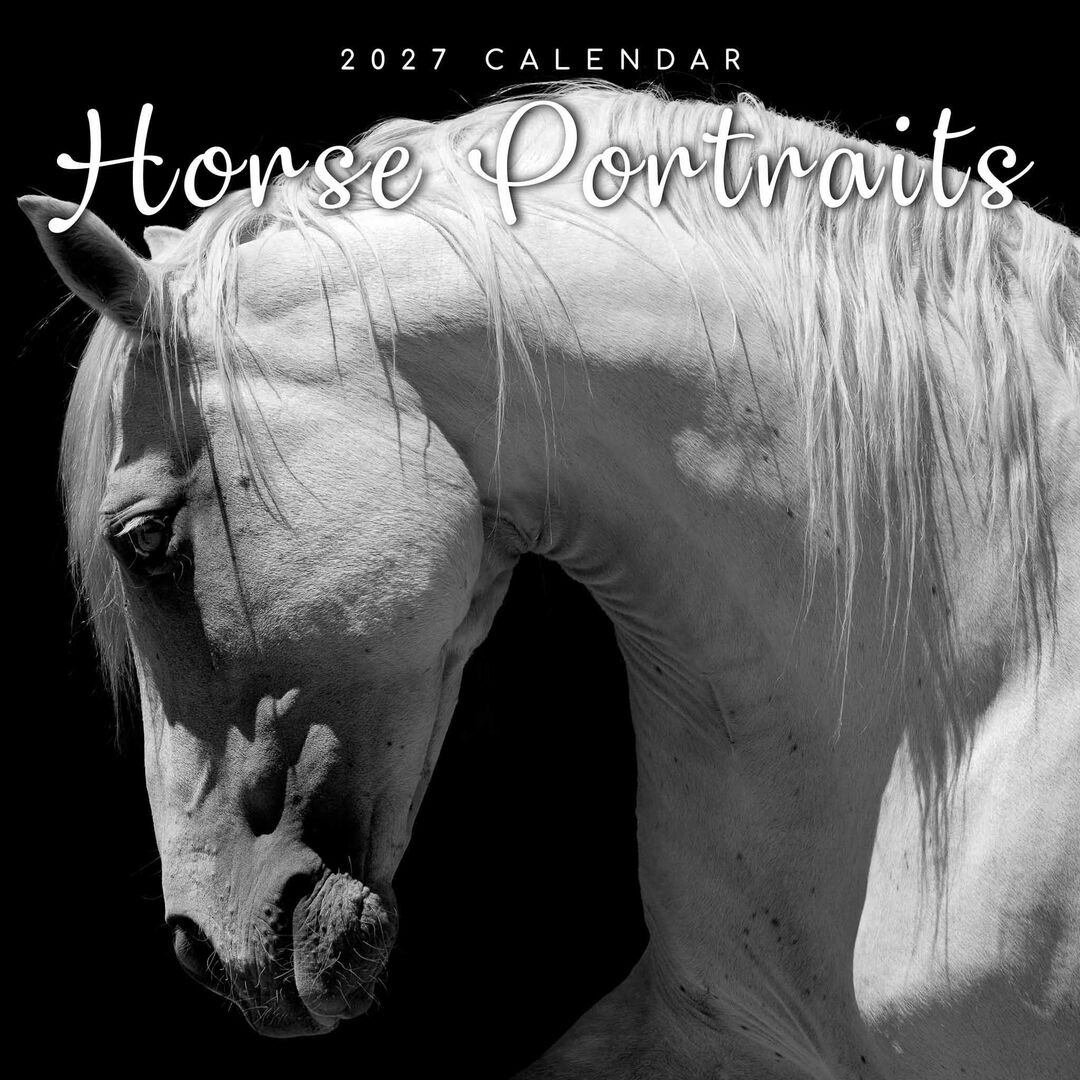 The Gifted Stationery Kalender 27 Horse Portraits gtd