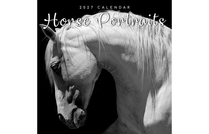 The Gifted Stationery Kalender 27 Horse Portraits gtd