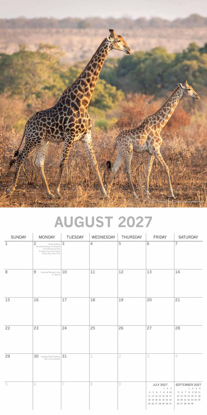 The Gifted Stationery Kalender 27 South Africa gtd