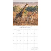 The Gifted Stationery Kalender 27 South Africa gtd