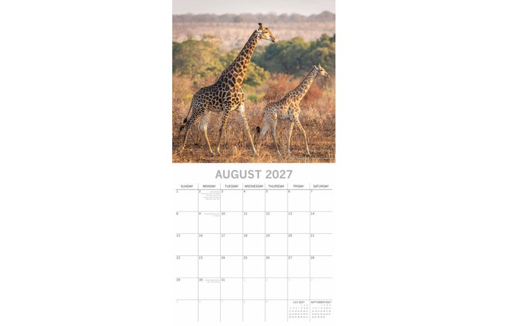 The Gifted Stationery Kalender 27 South Africa gtd