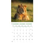 Kalender 26 Amazing Wildlife ToN pg