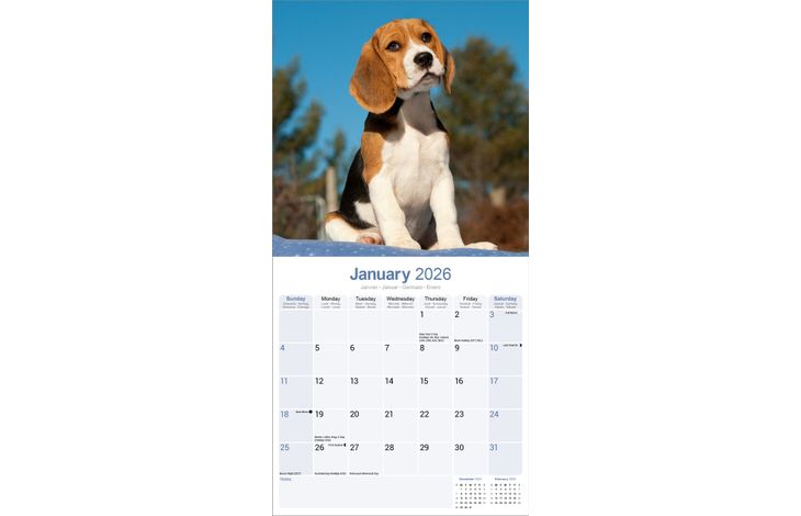 Avonside Kalender 26 Beagles as