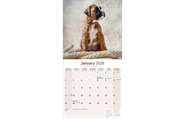 Avonside Kalender 26 Boxers as