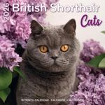 Kalender 26 Brit Shorth Cats pg