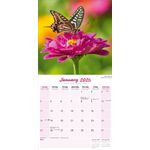Kalender 26 Butterflies as