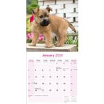 Kalender 26 Cairn Terriers as