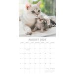 Kalender 26 Cat & Kittens gtd