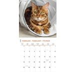 Kalender 26 Cat Lovers pg
