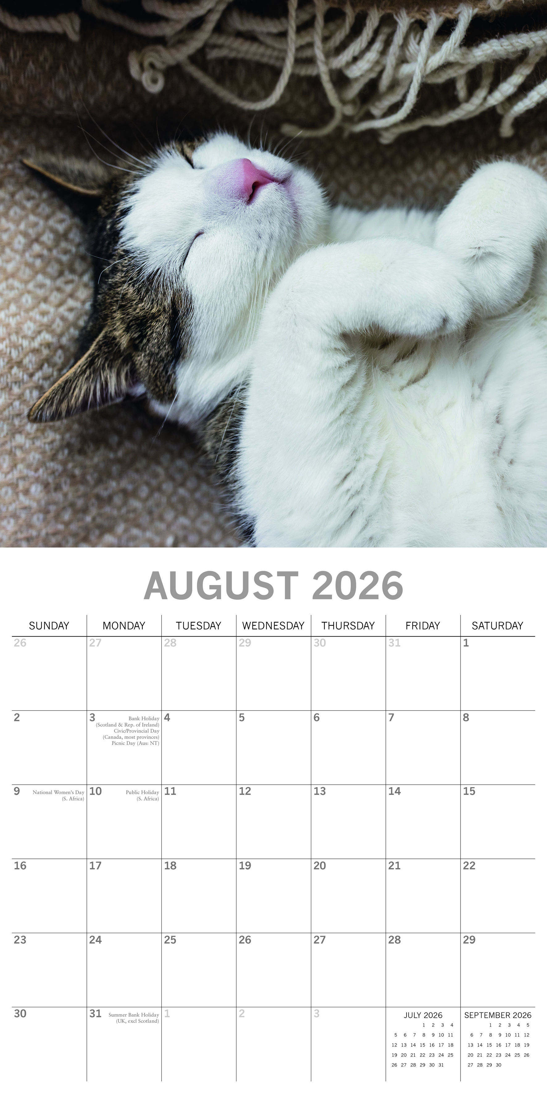 The Gifted Stationery Kalender 26 Cat Naps gtd