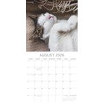 Kalender 26 Cat Naps gtd