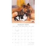 Kalender 26 Cats & Dogs gtd