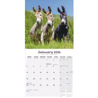 Avonside Kalender 26 Donkeys as