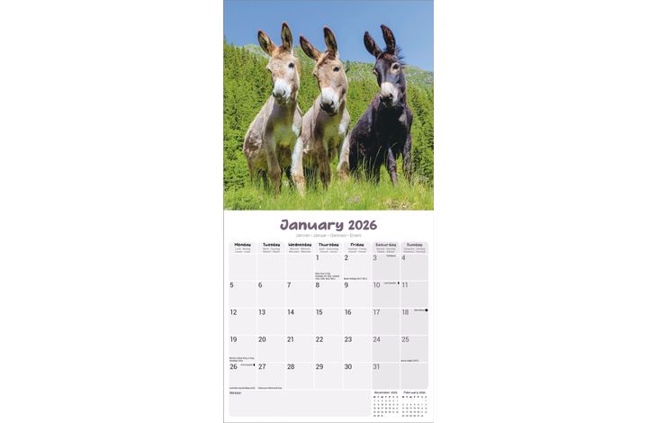 Avonside Kalender 26 Donkeys as