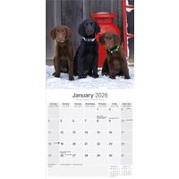 Avonside Kalender 26 Flat Coated Retr. as