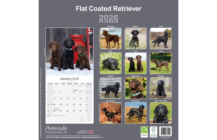 Avonside Kalender 26 Flat Coated Retr. as