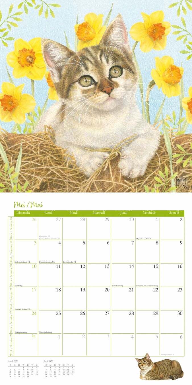 Comello Kalender 26 Franciens Katten pgc