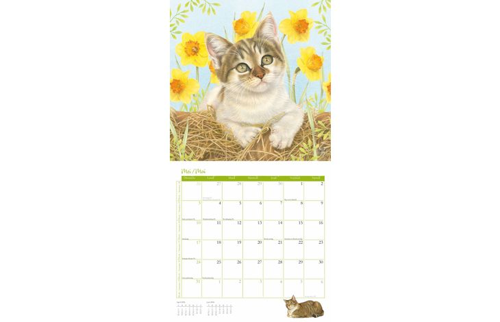 Comello Kalender 26 Franciens Katten pgc