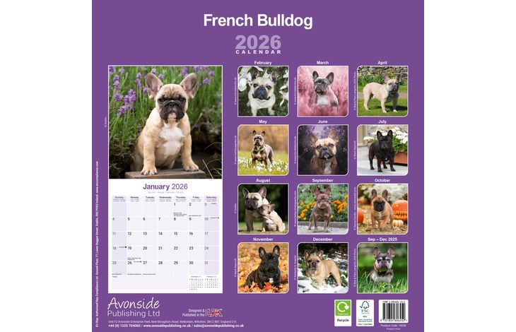 Avonside Kalender 26 French Bulldogs as