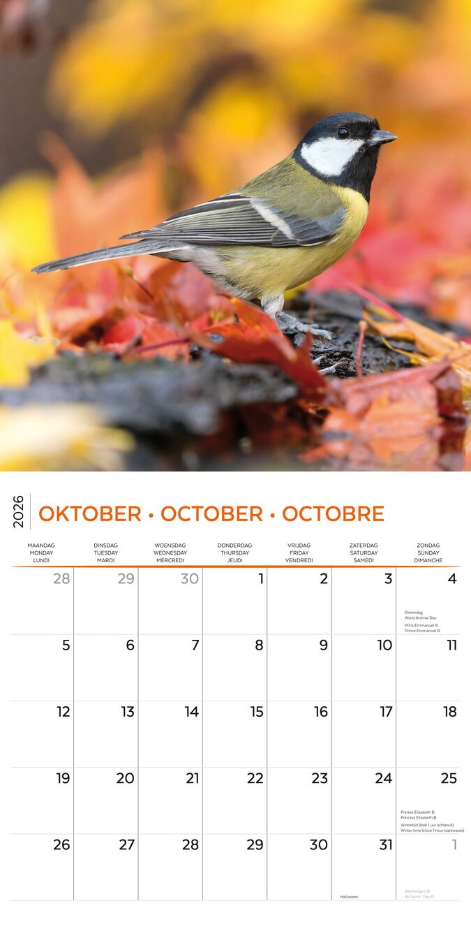 Plenty Gifts Kalender 26 Garden Birds pg