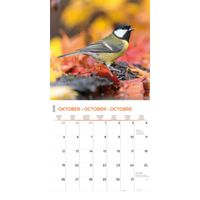 Plenty Gifts Kalender 26 Garden Birds pg