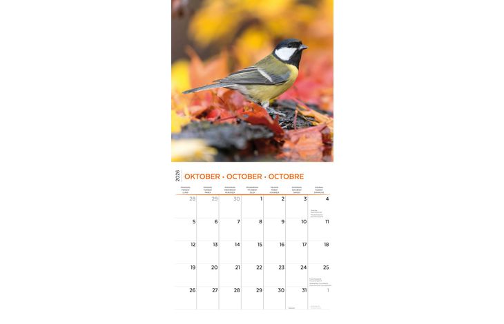 Plenty Gifts Kalender 26 Garden Birds pg