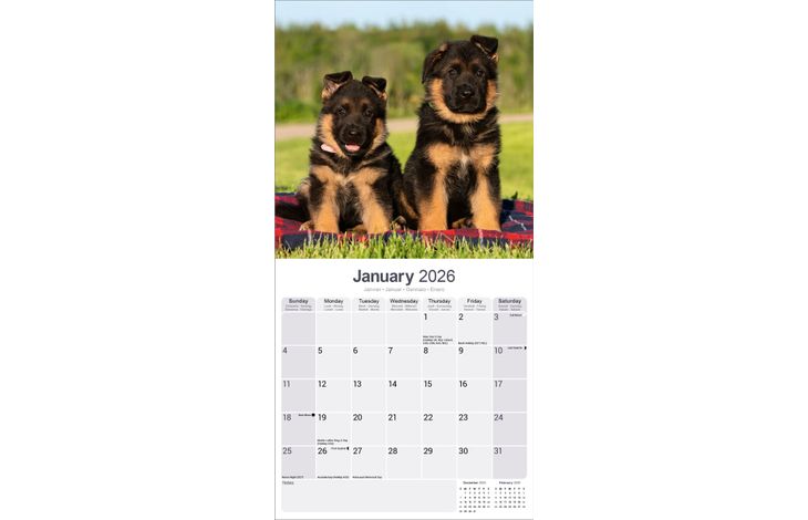Avonside Kalender 26 German Shepherds as