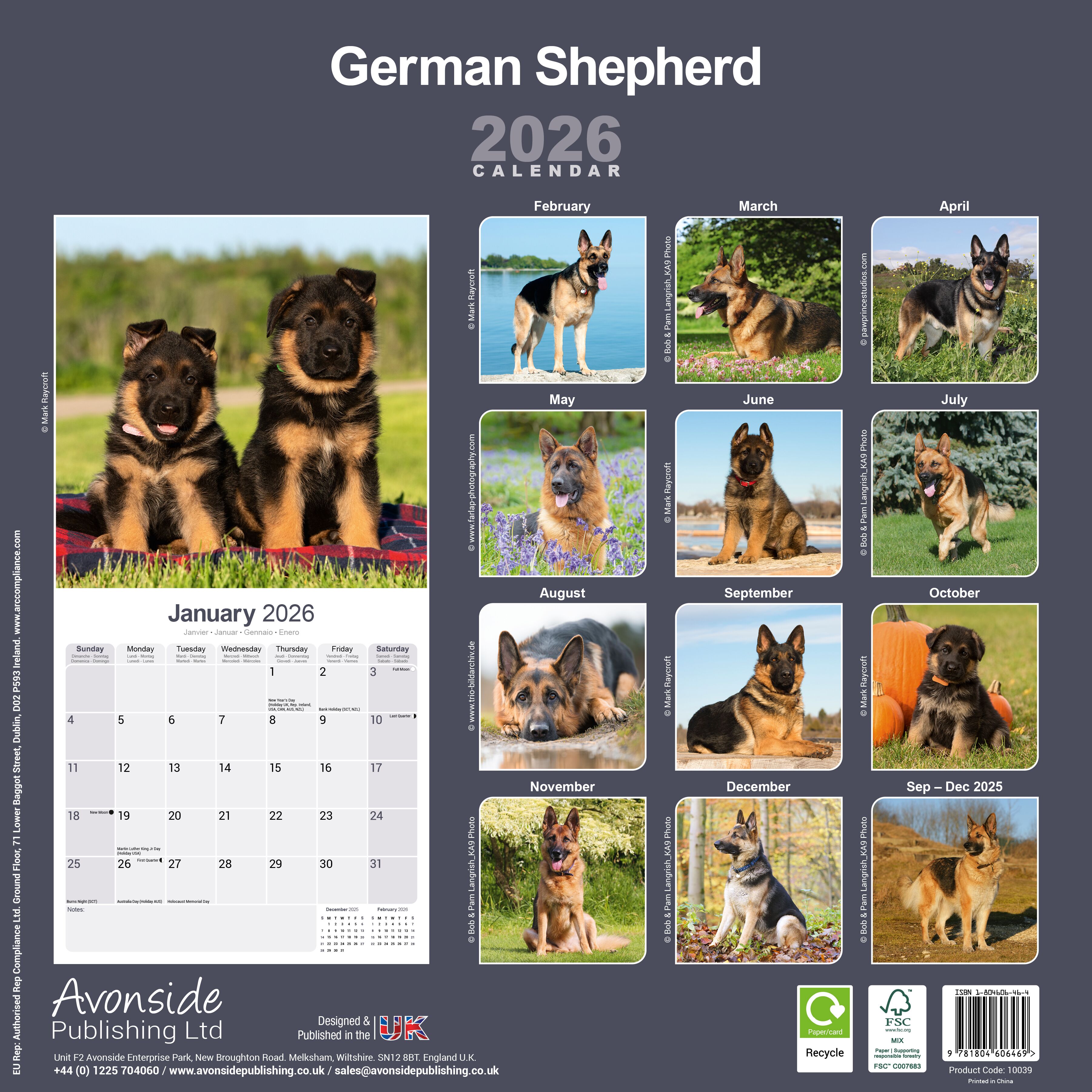 Avonside Kalender 26 German Shepherds as