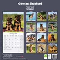 Avonside Kalender 26 German Shepherds as