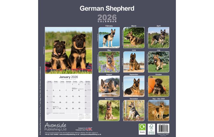 Avonside Kalender 26 German Shepherds as