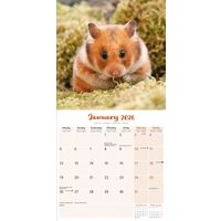 Avonside Kalender 26 Hamsters as