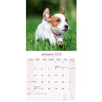 Avonside Kalender 26 Jack Russell Int as