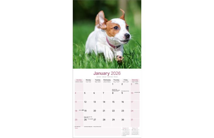 Avonside Kalender 26 Jack Russell Int as