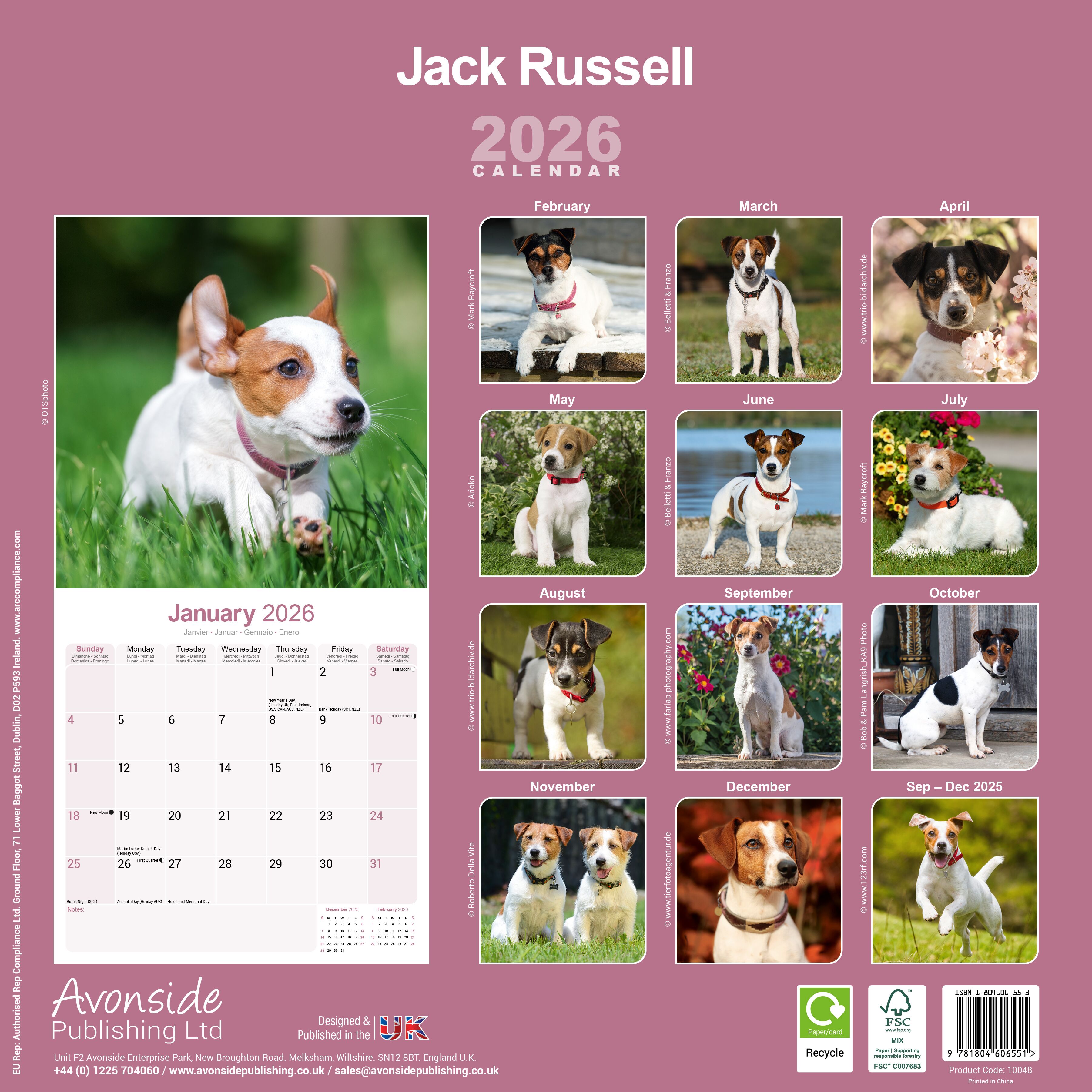 Avonside Kalender 26 Jack Russell Int as