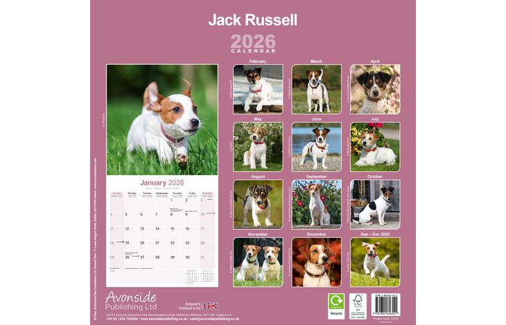 Avonside Kalender 26 Jack Russell Int as