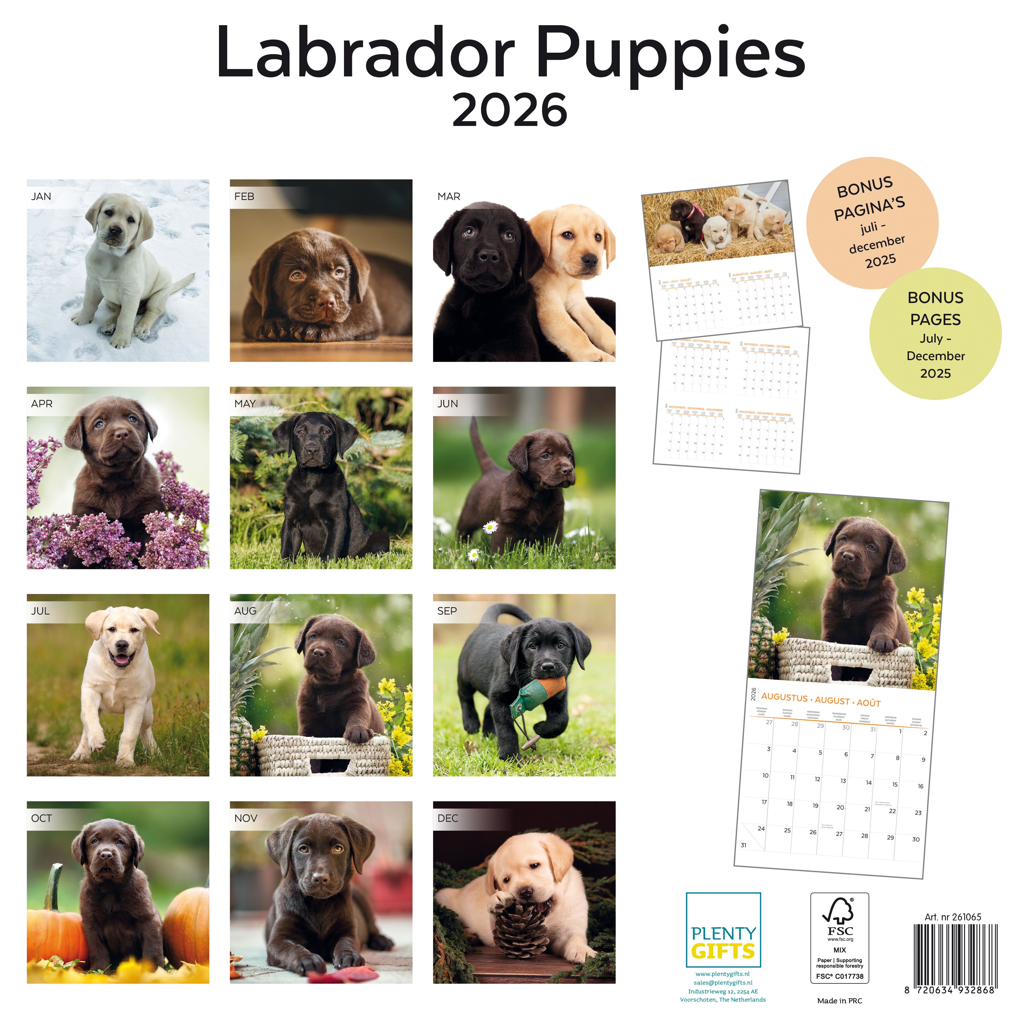 Plenty Gifts Kalender 26 Lab Pup pg